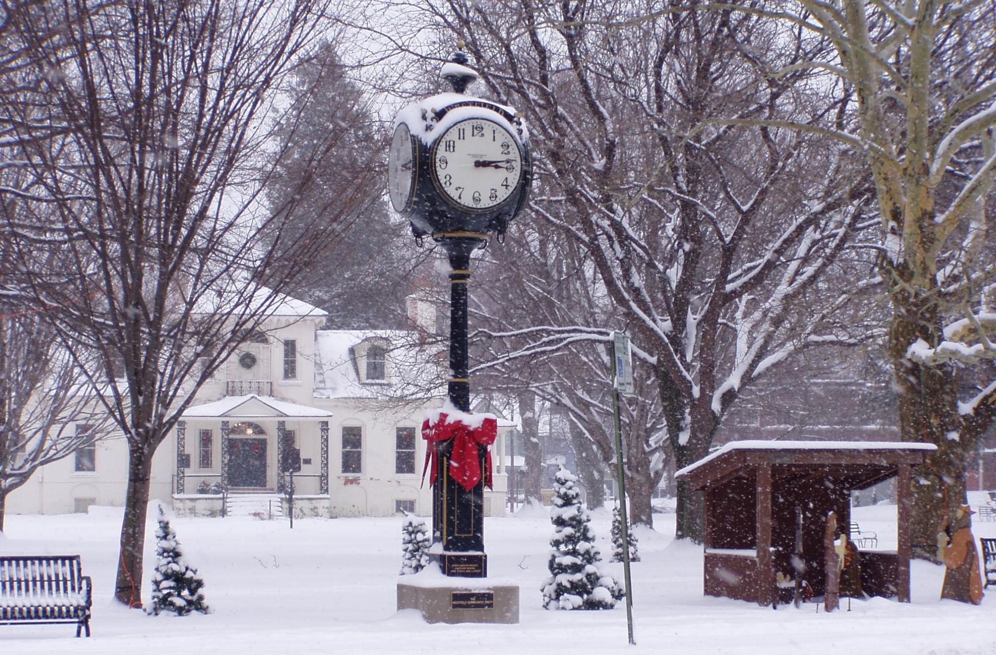 Christmas in the Village picture