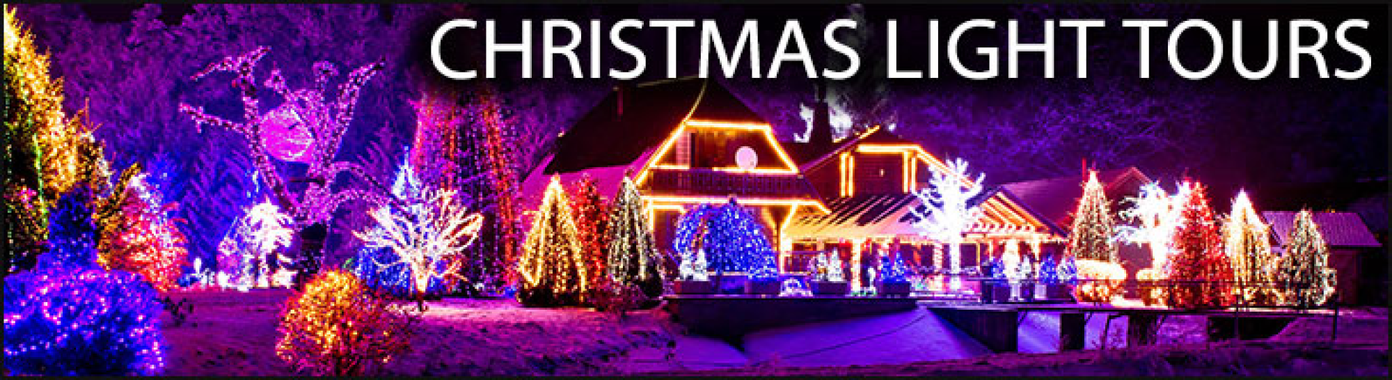 Christmas Light Tours